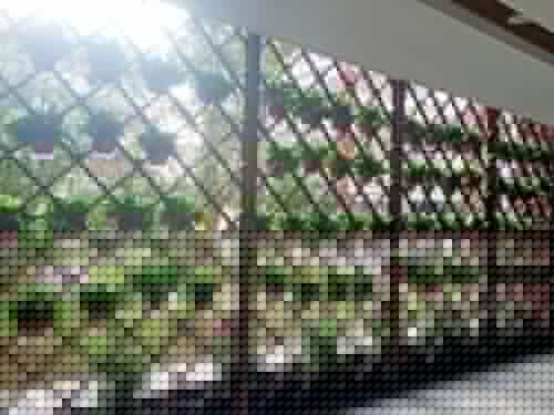 <b>一年级新生5个班</b>